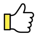 専門家のフィードバック